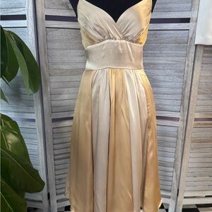 Arden B 100% Silk Champagne Midi Dress Size 4
